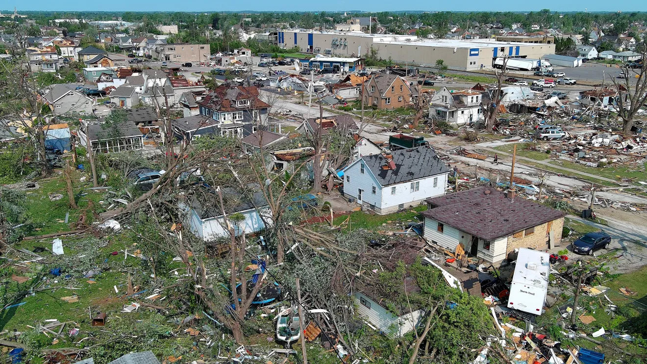 Wisconsin Wood Violet -  Fox Cities Tornado Chart for Charity