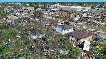 Wisconsin Wood Violet -  Fox Cities Tornado Chart for Charity
