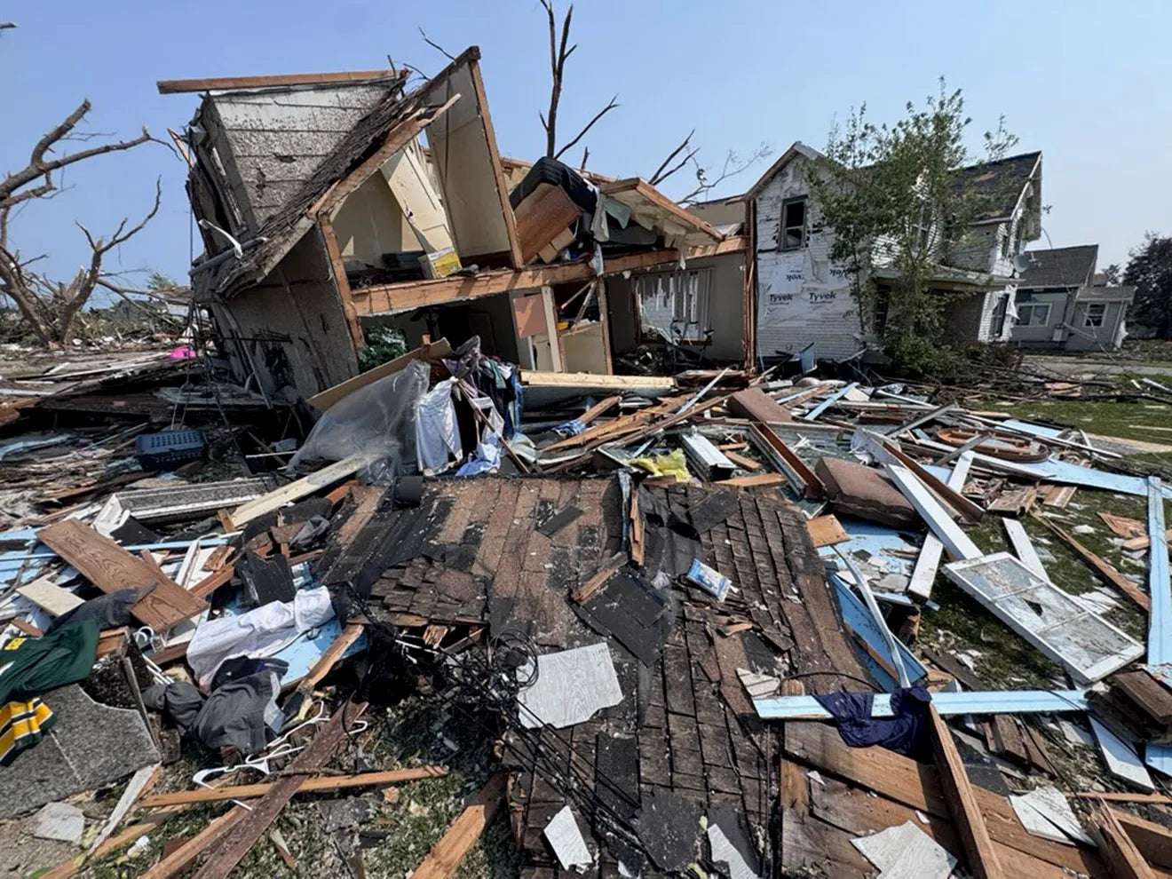 Wisconsin Wood Violet -  Fox Cities Tornado Chart for Charity