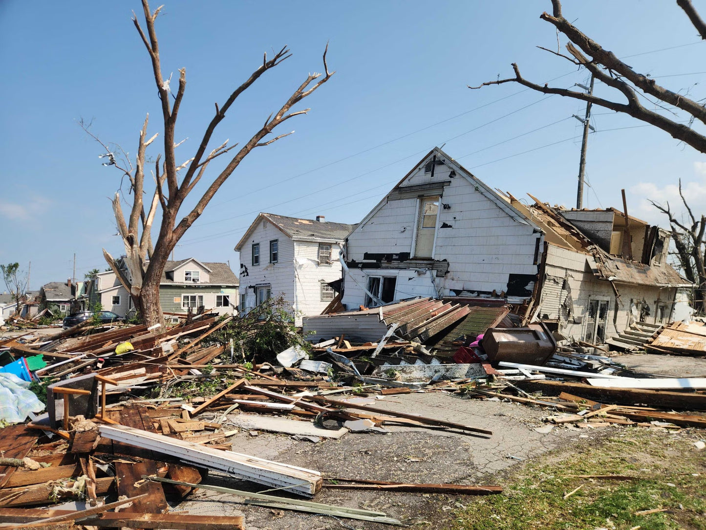Wisconsin Wood Violet -  Fox Cities Tornado Chart for Charity
