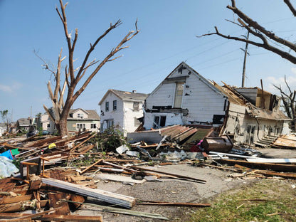 Wisconsin Wood Violet -  Fox Cities Tornado Chart for Charity